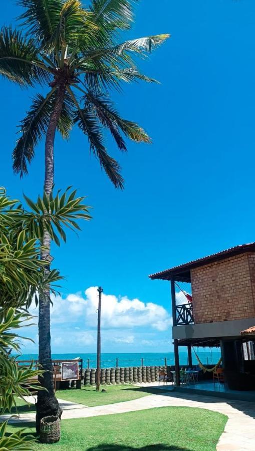 Paraiso Pe Na Areia Em * Maragogi